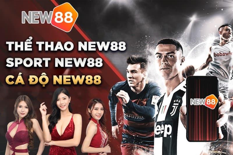 Thể thao New88